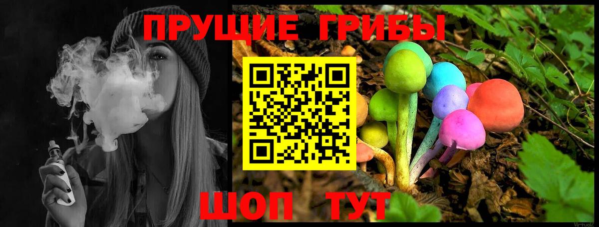 купить закладку  Галлюциногенные грибы ЛСД  Похвистнево  Вход с VPN  Псилоцибиновые грибы GOLDEN TEACHER 